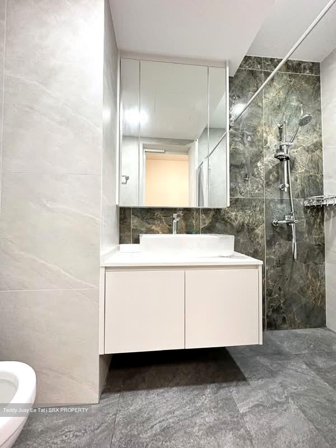 Signature Park (D21), Condominium #560810481